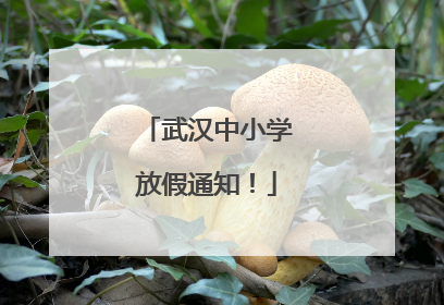 武汉中小学放假通知！