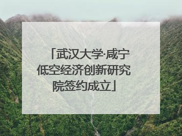 武汉大学·咸宁低空经济创新研究院签约成立