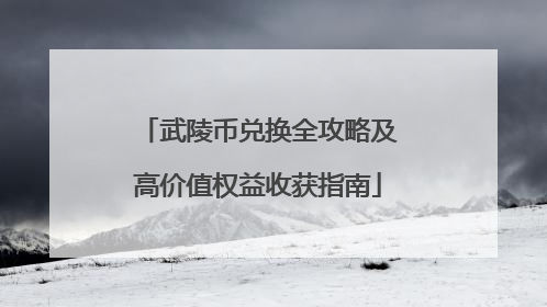 武陵币兑换全攻略及高价值权益收获指南