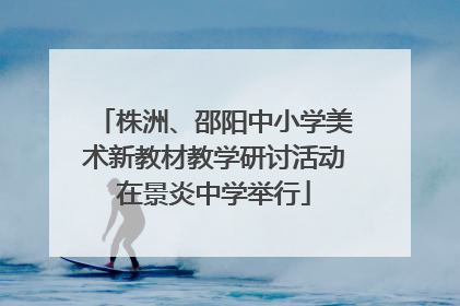 株洲、邵阳中小学美术新教材教学研讨活动在景炎中学举行