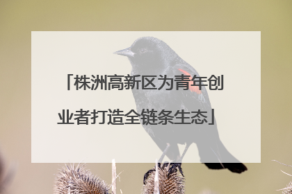 株洲高新区为青年创业者打造全链条生态