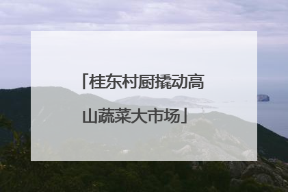桂东村厨撬动高山蔬菜大市场