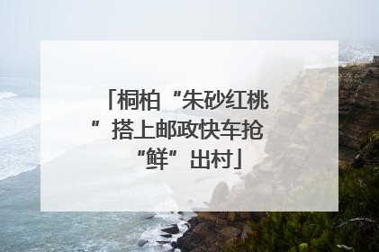 桐柏“朱砂红桃”搭上邮政快车抢“鲜”出村