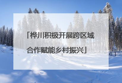桦川积极开展跨区域合作赋能乡村振兴