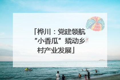 桦川：党建领航“小香瓜”撬动乡村产业发展