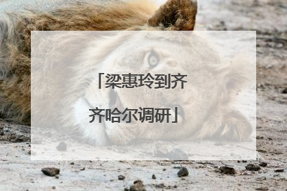 梁惠玲到齐齐哈尔调研