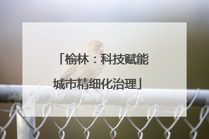榆林：科技赋能城市精细化治理