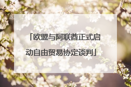 欧盟与阿联酋正式启动自由贸易协定谈判
