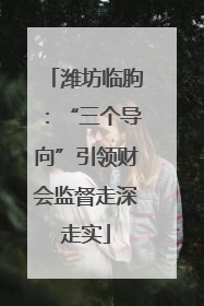 潍坊临朐：“三个导向”引领财会监督走深走实