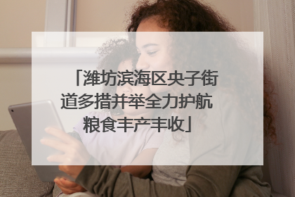 潍坊滨海区央子街道多措并举全力护航粮食丰产丰收
