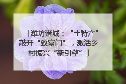潍坊诸城：“土特产”敲开“致富门”，激活乡村振兴“新引擎”