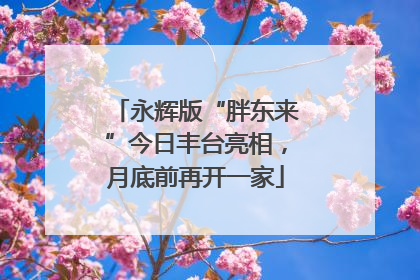 永辉版“胖东来”今日丰台亮相，月底前再开一家