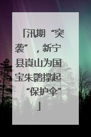汛期“突袭”，新宁县崀山为国宝朱鹮撑起“保护伞”
