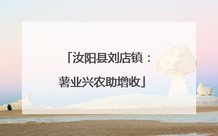 汝阳县刘店镇：薯业兴农助增收