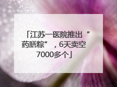 江苏一医院推出“药膳粽”，6天卖空7000多个