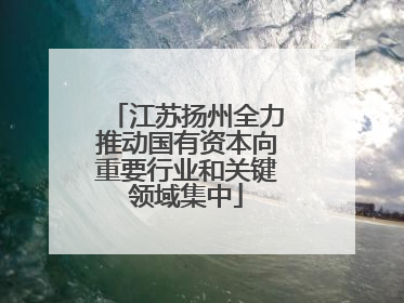 江苏扬州全力推动国有资本向重要行业和关键领域集中