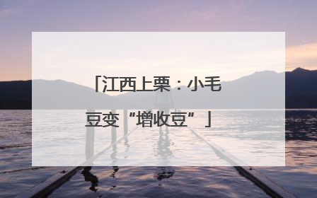 江西上栗：小毛豆变“增收豆”