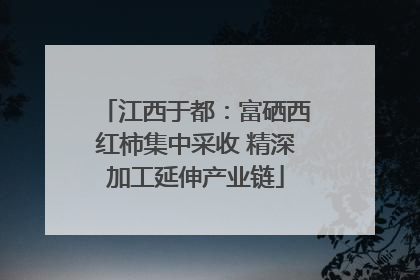 江西于都：富硒西红柿集中采收 精深加工延伸产业链
