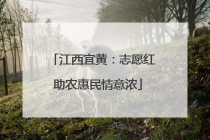 江西宜黄：志愿红助农惠民情意浓