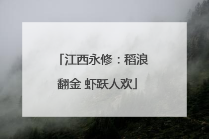 江西永修：稻浪翻金 虾跃人欢