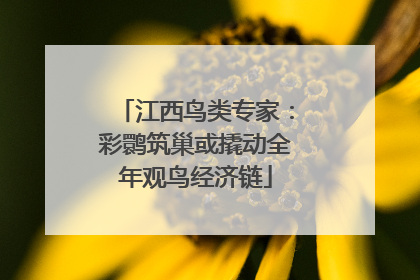 江西鸟类专家：彩鹮筑巢或撬动全年观鸟经济链
