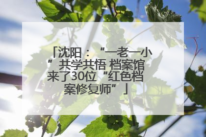 沈阳：“一老一小”共学共悟 档案馆来了30位“红色档案修复师”