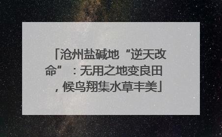 沧州盐碱地“逆天改命”：无用之地变良田，候鸟翔集水草丰美