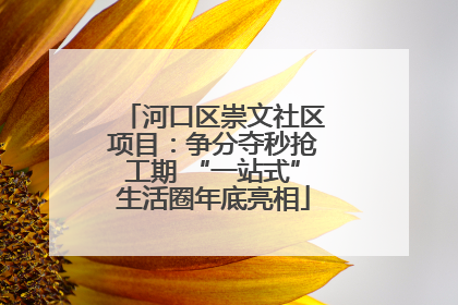 河口区崇文社区项目：争分夺秒抢工期 “一站式”生活圈年底亮相