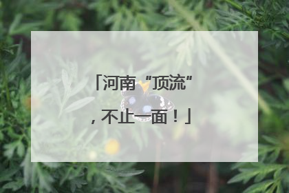 河南“顶流”，不止一面！
