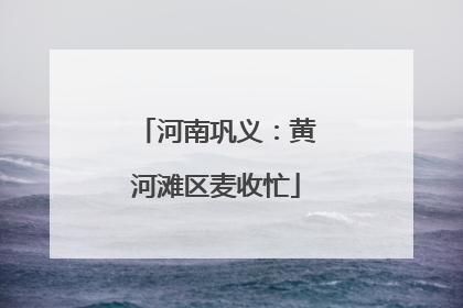 河南巩义：黄河滩区麦收忙