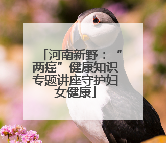 河南新野：“两癌”健康知识专题讲座守护妇女健康