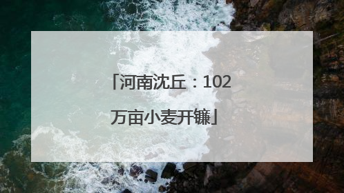 河南沈丘：102 万亩小麦开镰