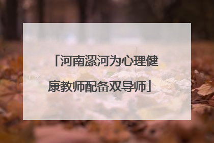 河南漯河为心理健康教师配备双导师
