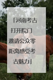 河南考古打开院门 邀请公众零距离感受考古魅力