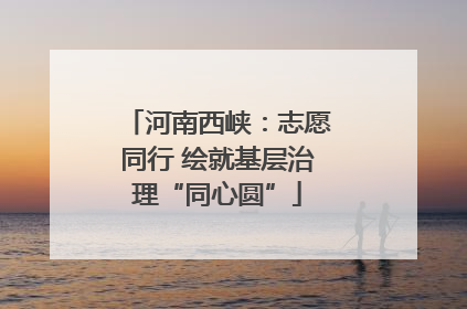 河南西峡：志愿同行 绘就基层治理“同心圆”