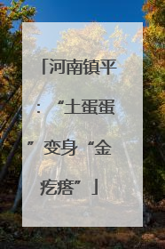 河南镇平：“土蛋蛋”变身“金疙瘩”