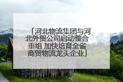 河北物流集团与河北外贸公司启动整合重组 加快培育全省商贸物流龙头企业
