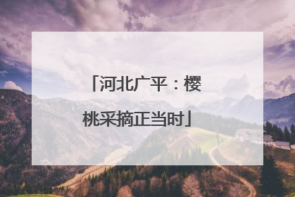 河北广平：樱桃采摘正当时