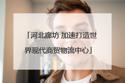 河北廊坊 加速打造世界现代商贸物流中心