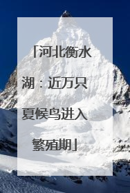 河北衡水湖：近万只夏候鸟进入繁殖期