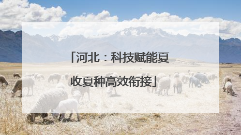 河北：科技赋能夏收夏种高效衔接