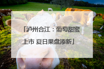 泸州合江：葡萄甜蜜上市 夏日果盘添新