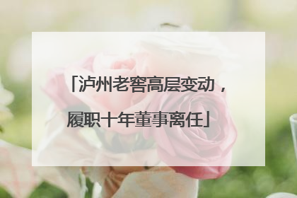 泸州老窖高层变动，履职十年董事离任