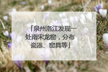 泉州洛江发现一处南宋龙窑，分布瓷器、窑具等