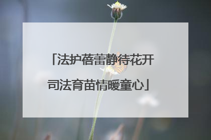 法护蓓蕾静待花开 司法育苗情暖童心