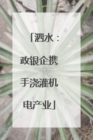 泗水：政银企携手浇灌机电产业