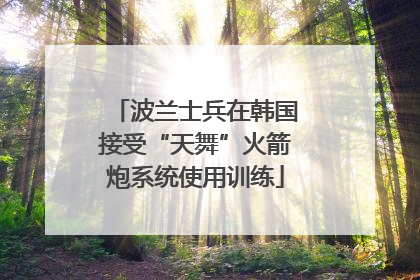 波兰士兵在韩国接受“天舞”火箭炮系统使用训练