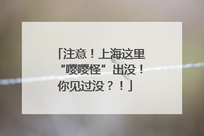 注意！上海这里“嘤嘤怪”出没！你见过没？！
