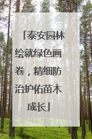 泰安园林绘就绿色画卷，精细防治护佑苗木成长
