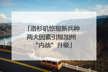 洛杉矶惊现新兵种 两大因素引爆加州“内战”升级